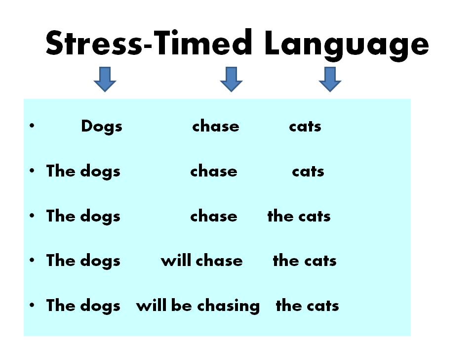 07-connected-speech-word-and-sentence-stress-fundamentos-de-linguistica